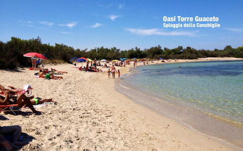 Villa Orchidea: Beach, Sky, Vacation, Tourism, Ocean, Sea, Summer, Shore