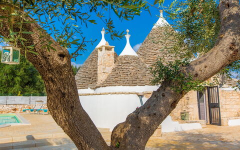 Trullo Del Mandarino: Tree, Architecture, Wall, Woody Plant, Building, Plant, Branch, Tourism, House, City