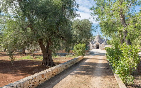 Trullo Suenn Con Piscina: Tree, Property, Road, Thoroughfare, Trail, Landscape, Plant, Walkway, Real Estate, Park