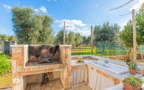 Trullo Con Piscina Per Bambini: Plant, Sky, Cloud, Property, Building, Tree, Wood, Flowerpot, Architecture, Grass