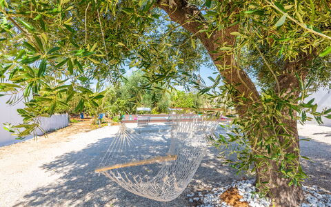Lamia Di Nonna Mena: Plant, Plant Community, Natural Landscape, Branch, Wood, Sky, Trunk, Body Of Water, Arecales, Bank