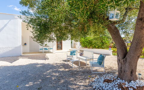 Lamia Di Nonna Mena: Property, Tree, Real Estate, Architecture, House, Room, Building, Furniture, Yard, Backyard