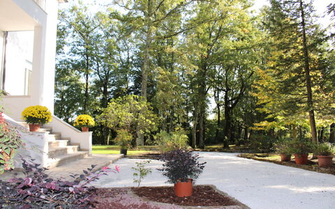 Villa La Casa Bianca: Property, Home, Tree, House, Real Estate, Yard, Residential Area, Landscaping, Garden, Landscape