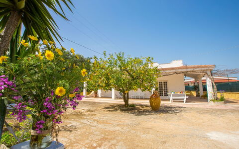 Villa Mediterranea: Property, Flower, Yellow, Plant, Real Estate, Tree, House, Vacation, Building, Rural Area