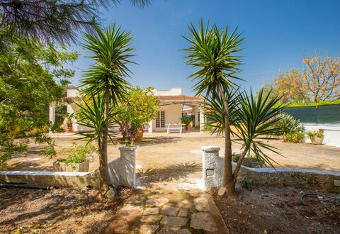 Villa Mediterranea: Property, House, Home, Real Estate, Tree, Estate, Building, Residential Area, Palm Tree, Arecales