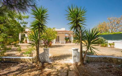 Villa Mediterranea: outdoor view