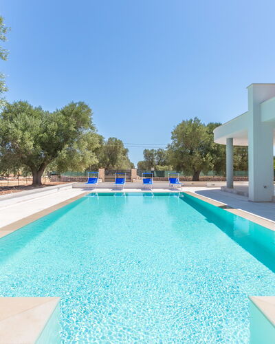 Villa Stella Cadente: Water, Sky, Building, Swimming Pool, Azure, Tree, Shade, Rectangle, Grass, Leisure