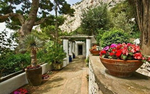 Villa Marina Little Beach: Plant, Flower, Property, Flowerpot, Building, Botany, Tree, Vegetation, Houseplant, Real Estate