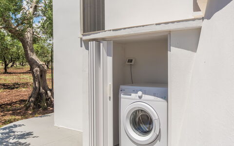 Trullo Del Pioppo Gigante: Clothes Dryer, Washing Machine, Door, Wood, Home Appliance, Tree, Major Appliance, Laundry, Floor