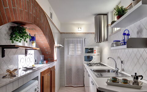49 Little House: Cabinetry, Kitchen Sink, Property, Countertop, Sink, White, Plant, Building, Kitchen, Houseplant