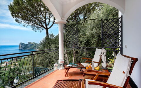Medusa And The Seahorse Villa: Water, Table, Furniture, Property, Chair, Plant, Sky, Wood, Shade, Tree