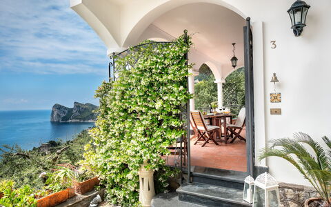Medusa And The Seahorse Villa: Plant, Building, Water, Property, Table, Cloud, Flowerpot, Sky, Azure, Flower