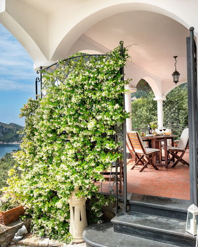 Medusa And The Seahorse Villa: Plant, Building, Water, Property, Table, Cloud, Flowerpot, Sky, Azure, Flower