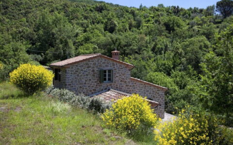 Villa Sole: Plant, Sky, Flower, Natural Landscape, Land Lot, Tree, House, Grass, Cottage, Landscape