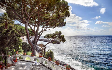 Appartamento Lobra: Sky, Water, Cloud, Tree, Beach, Coastal And Oceanic Landforms, Arecales, Plant, Body Of Water