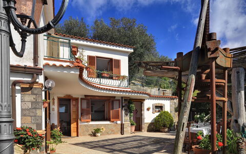 La Villa Dell'olio: Plant, Cloud, Sky, Property, Building, Window, Flowerpot, Door, Tree, Neighbourhood