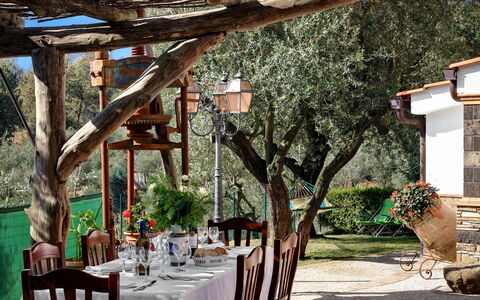 La Villa Dell'olio: Table, Tableware, Furniture, Plant, Chair, Tablecloth, Building, Decoration, Tree, Interior Design