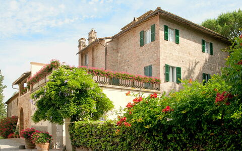Villa Asciolo: Plant, Shrub, Property, House, Building, Real Estate, Flowerpot, Residential Area, Garden