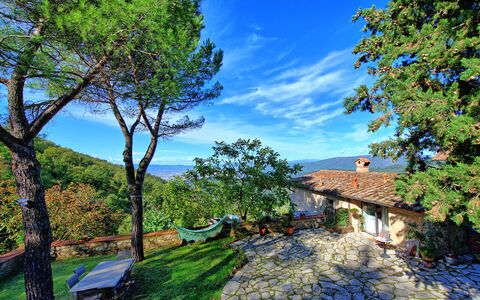 Villa Ancora: Branch, Tree, Natural Landscape, House, Woody Plant, Rural Area, Roof, Trunk, Cottage, Village