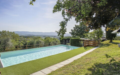 Castelfranco di Sopra 649: Swimming Pool, Land Lot, Garden, Shade, Leisure, Landscaping, Lawn, Eco Hotel, Backyard, Yard