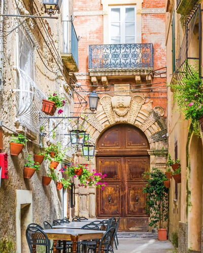 Loving Times Apartment: Building, Plant, Flower, Window, Table, Houseplant, Door, Wood, Flowerpot, Road