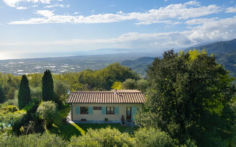 Villa Elisa: Mountainous Landforms, Hill, Natural Landscape, Vegetation, Mountain, Landscape, Highland, Rural Area, Hill Station, Shrub