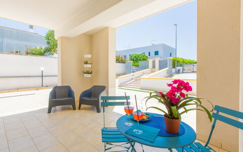 Case Pantanagianni: Flower, Plant, Furniture, Property, Building, Flowerpot, Houseplant, Table, Chair, Blue