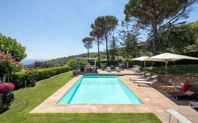 Fico e Faeto 9: The swimming pool