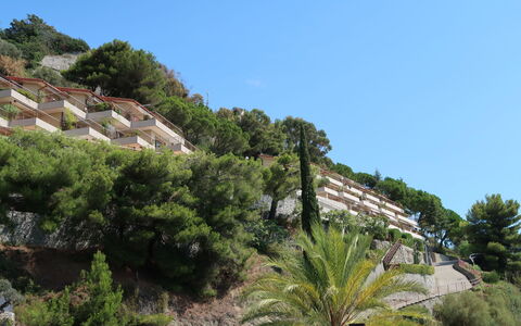 Ventimiglia 633: Sky, Building, Plant, Plant Community, Tree, Vegetation, Arecales, House, Natural Landscape, Neighbourhood