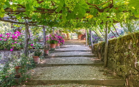 Ville Rosadi Weddings: Flower, Plant, Tree, Botany, Garden, Spring, Walkway, Leaf, Pergola, Architecture