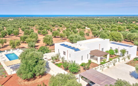 Villa Orama Estia Relais: Sky, Daytime, Plant, Vegetation, Land Lot, Tree, Urban Design, Building, Neighbourhood, Residential Area