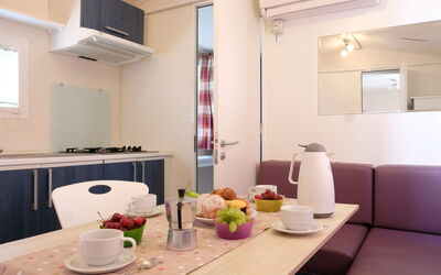 Accommodation:&nbsp;Happy Standard 604.1