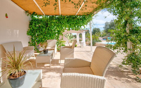 Masseria Tufo Bianco: Plant, Furniture, Table, Chair, Houseplant, Outdoor Furniture, Shade, Flowerpot, Tree, Arecales