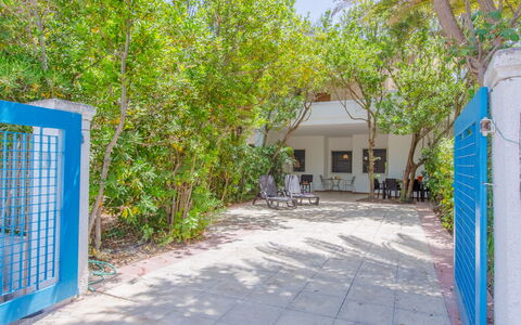 Villa Talise: Plant, Property, Blue, Leaf, Green, Botany, Architecture, Vegetation, Land Lot, Shade