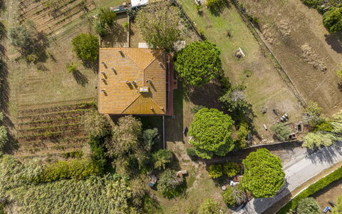 Holiday Home Giannella: Plant, Property, Land Lot, Building, Vegetation, Grass, Urban Design, Biome, Natural Landscape, Residential Area