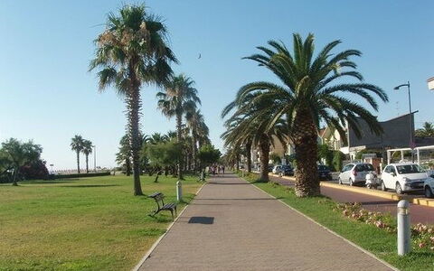 Villa Clair: Tree, Public Space, Recreation, Walkway, Woody Plant, Sidewalk, Shade, Leisure, Vacation