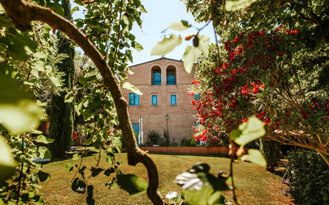 Villa Millefiori: Plant, Building, Flower, Window, Leaf, Botany, Branch, Architecture, Vegetation, House