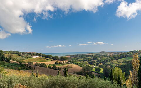 Villa Vagnini: Cloud, Sky, Plant, Azure, Natural Landscape, Natural Environment, Tree, Highland, Land Lot, Sunlight