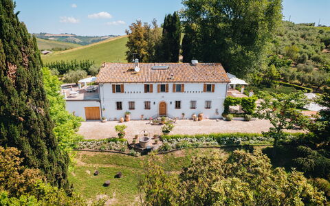 Villa La Picena: House, Estate, Home, Mansion, Villa, Garden, Landscaping, Hacienda, Farmhouse, Plantation