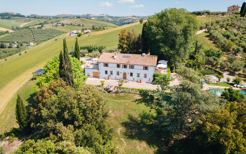 Villa La Picena: Estate, Mansion, Villa, Hacienda, Food, Swimming Pool, Plantation, Eco Hotel, Farmhouse