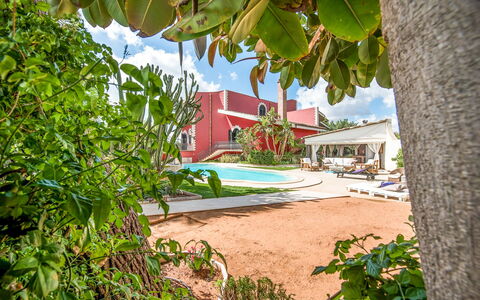 Villa Rossana: Plant, Sky, Building, Shade, Vegetation, Arecales, Body Of Water, Window, House, Neighbourhood