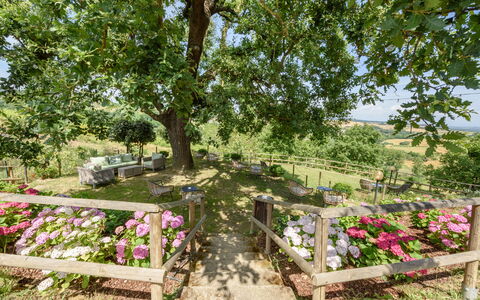 Villa Varna: Flower, Plant, Plant Community, Tree, Petal, Natural Landscape, Flowerpot, Grass, Groundcover, Shrub