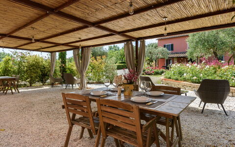 Villa Varna: Plant, Table, Furniture, Property, Chair, Outdoor Furniture, Outdoor Table, Interior Design, Shade, Tree