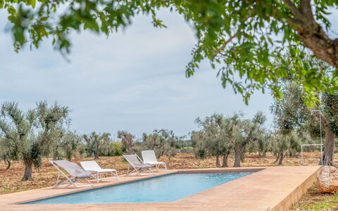 Bianco Trullo: Water, Plant, Sky, Swimming Pool, Cloud, Tree, Shade, Natural Landscape, Chair, Residential Area