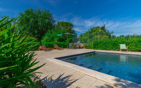 Sunrise Hill Holiday Home: Water, Sky, Plant, Cloud, Tree, Swimming Pool, Grass, Arecales, Shade, Natural Landscape