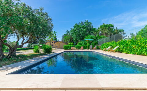 Sunrise Hill Holiday Home: Water, Plant, Sky, Property, Swimming Pool, Tree, Azure, Botany, Natural Landscape, Vegetation