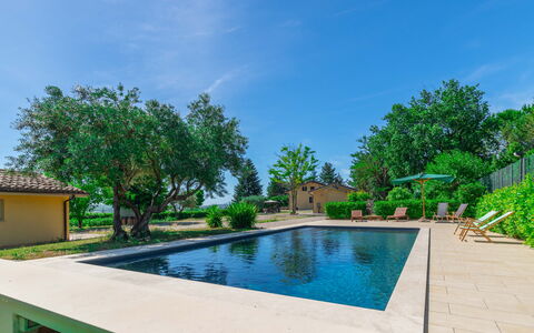 Sunrise Hill Holiday Home: Water, Sky, Plant, Swimming Pool, Building, Tree, Cloud, Body Of Water, Arecales, Grass