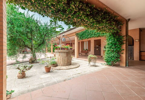 Villa Rosso Corbezzolo: Plant, Building, Flowerpot, Houseplant, Window, Door, Wood, Architecture, Grass, Shade