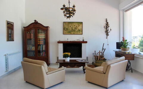 Tre Donne: Plant, Picture Frame, Furniture, Couch, Houseplant, Window, Wood, Interior Design, Flowerpot, Floor