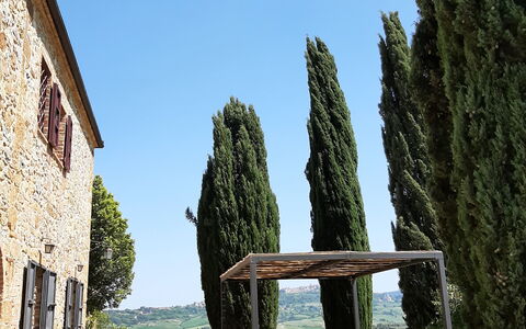 Casa Banditello: Sky, Plant, Window, Wood, Grass, Tree, Landscape, Tints And Shades, Leisure, Building